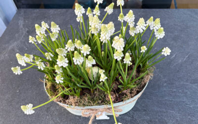 Auf dem Frühlingsfest in Hückeswagen
